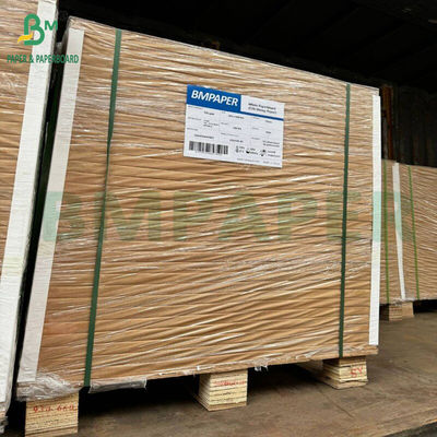 Cartone per alimenti rivestito di bianco 325 gm 350 gm Imballaggio alimentare sicuro