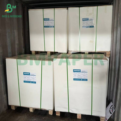 SBS Cartoni da 300 gr a 350 gr Cartoni di avorio bianco Grandi fogli 70 x 100 cm
