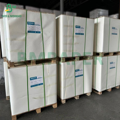 SBS Cartoni da 300 gr a 350 gr Cartoni di avorio bianco Grandi fogli 70 x 100 cm