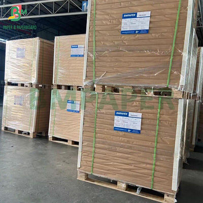 270 grammi FBB Board per scatole di farmaci 600 x 900 mm resistente al ripiegamento