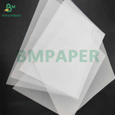 93gm Carta bianca traslucida per la confezione di fiori 60 x 85 cm Leggera