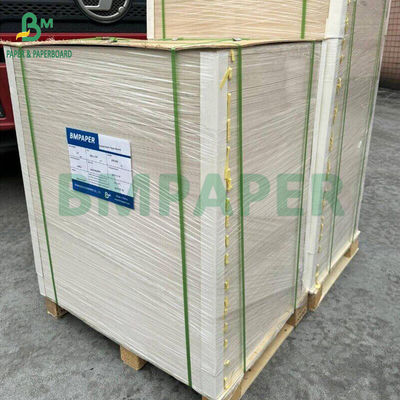 270gm + 15g PE rivestito Lunch Food Box Paper per imballaggio di frutta Alta rigidità