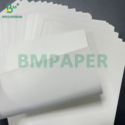 Riciclabile liscio 350gm + 20g un lato PE rivestito bianco Foodboard 900mm