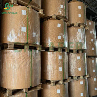 130 g 300 g Carta di canna da zucchero naturale carta di pasta di pasta per piatti per alimenti rotoli cartone biodegradabile