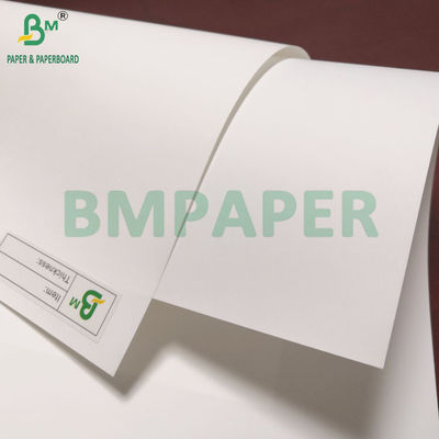 Carta di stampa laser sintetica PET da 150um per X-Banner 297 x 420mm impermeabile