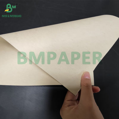 300 gm Carta di polpa di canna da zucchero naturale Bagasse per cartelloni biodegradabili 700 mm