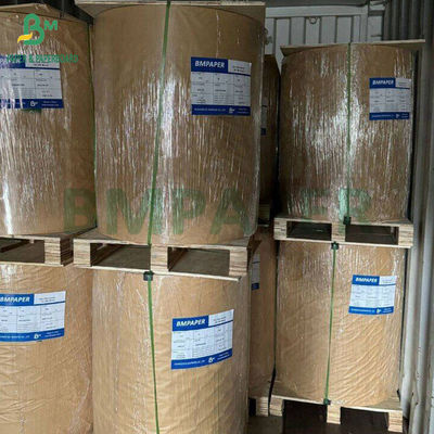 300 gm Carta di polpa di canna da zucchero naturale Bagasse per cartelloni biodegradabili 700 mm