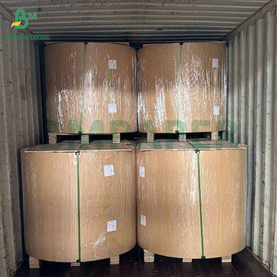 300 gm Carta di polpa di canna da zucchero naturale Bagasse per cartelloni biodegradabili 700 mm