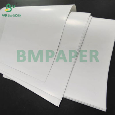 60# 90gm fogli di carta C1S rivestiti su un lato per etichette alimentari 32' x 24'