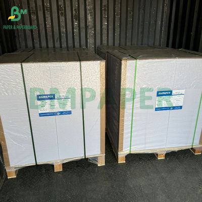 60# 90gm fogli di carta C1S rivestiti su un lato per etichette alimentari 32' x 24'