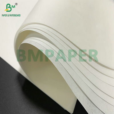 600 mm Larghezza del rotolo 25 gm 30 gm Carta kraft bianca per la cottura di torte