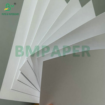 Ottima levigatezza 100g 120g carta non rivestita senza legno per la stampa offset 71cm roll