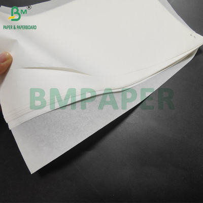 40 g Cupcake Liner a prova di grasso Carta per muffin 70 x 100 cm