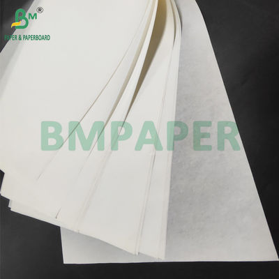 40 g Cupcake Liner a prova di grasso Carta per muffin 70 x 100 cm