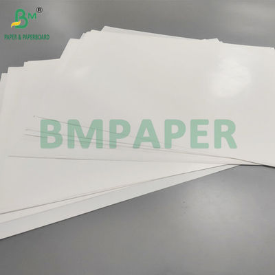 70 gm carta per etichette C1S con rivestimento laterale resistente all'umidità per la birra resistente all'acqua