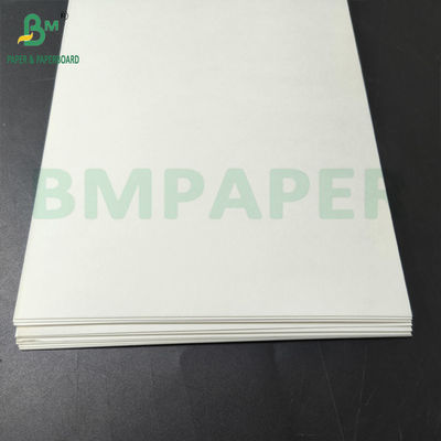 Carta per tazze rivestita in PE adatta per bevande alimentari calde e fredde