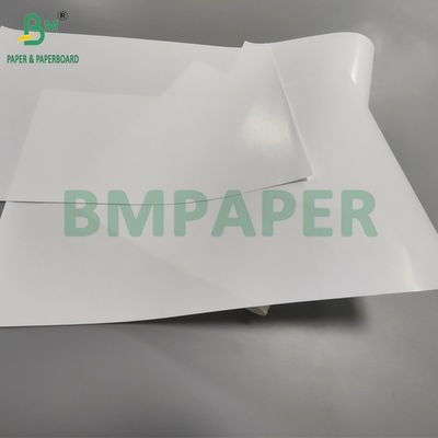 80 grammi Carta d'arte bianca lucida rivestita da un lato per l'etichetta adesiva 65 x 95 cm