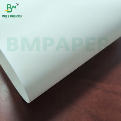 Carta sintetica PET bianca impermeabile 200 micron 230 micron per menù ristorante