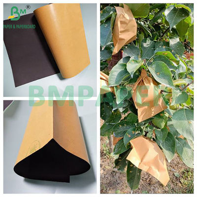 56 grammi Brown And Black Fruit Mango Protective Bag Rolls di carta