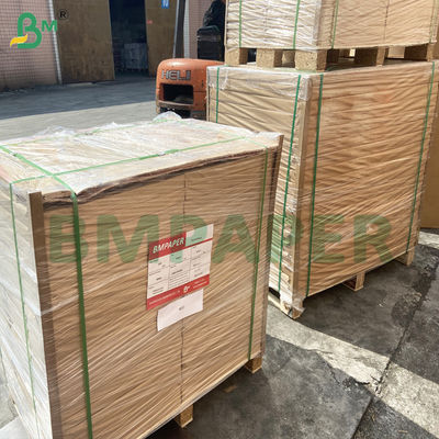 Carta da forno antiaderente 40 g Barcecue Carta siliconica a doppio lato