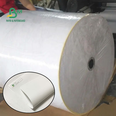 55 grammi 790 mm 795 mm ricevuta carta termica Jumbo Roll