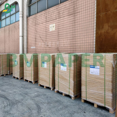 21 g 30 g Carta vetrosa sbiancata per uso alimentare non appiccicosa - Carta trasparente