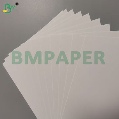 Carta Blotter ad alto assorbimento bianco non rivestita 1 mm 2 mm 700 * 1000 mm
