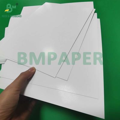 100lb 270GSM C2S Copertina lucida per riviste 12' x 18' Superior Image Acid Free