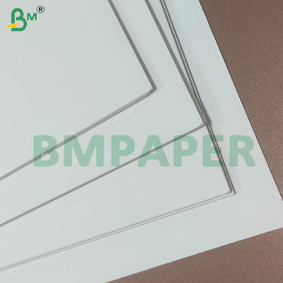 135-350gm Doppio lato Livello di carta di coppa rivestita in PE liscia