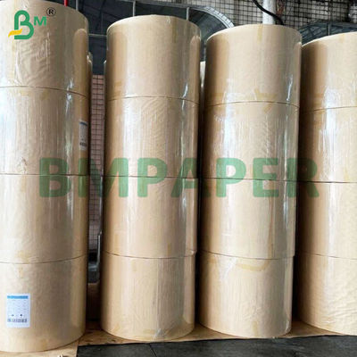 135-350gm Doppio lato Livello di carta di coppa rivestita in PE liscia