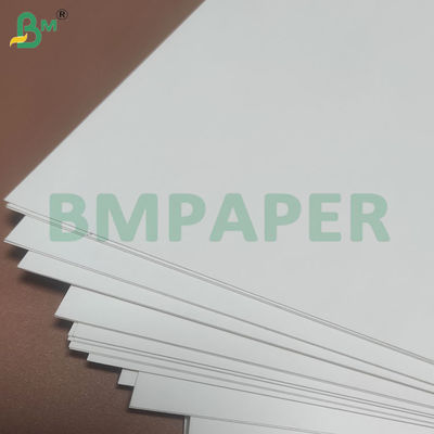 135-350 GSM Rollo di carta per contenitori alimentari ad alta rigidità per scodella di carta