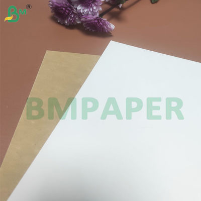 135-350 GSM Rollo di carta per contenitori alimentari ad alta rigidità per scodella di carta