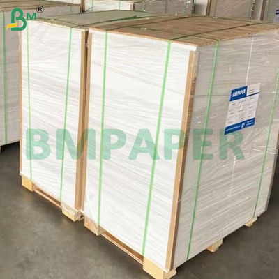 135-350 GSM Rollo di carta per contenitori alimentari ad alta rigidità per scodella di carta