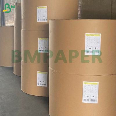 210g + 15g Bowl Paper Food Grade PE Coated Virgin Wood Pulp Roll