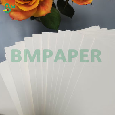 210g + 15g Bowl Paper Food Grade PE Coated Virgin Wood Pulp Roll