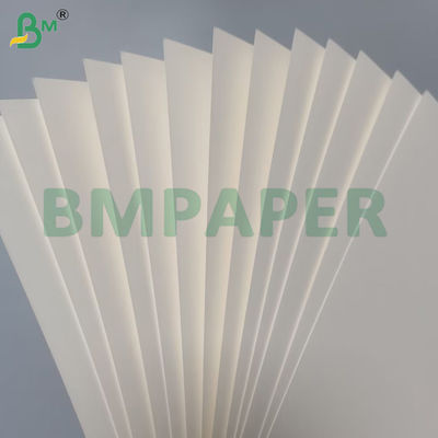 210g + 15g Bowl Paper Food Grade PE Coated Virgin Wood Pulp Roll