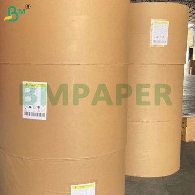 210g + 15g Bowl Paper Food Grade PE Coated Virgin Wood Pulp Roll
