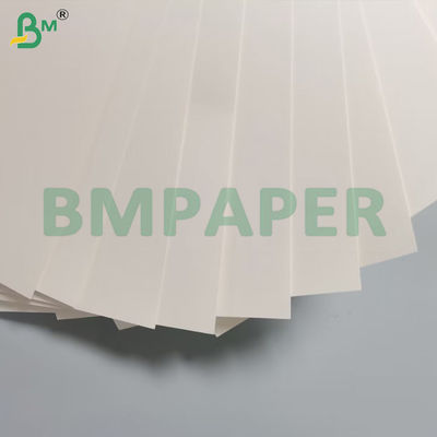 180g + 15g PE Cup Stock Paper Signle Side Coated Board Impermeabile resistente al ripiegamento