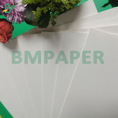 0.7 mm Carta assorbente non rivestita
