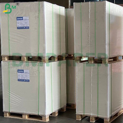 310 gm Carta a nucleo blu a doppio lato rivestita di fogli di cartone lucido