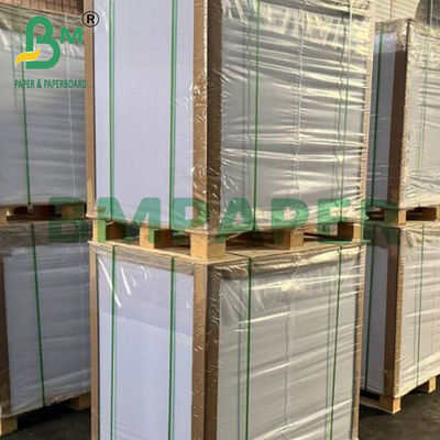 30 - 90 g di carta da forno in silicone a prova di grasso rivestita a doppio lato