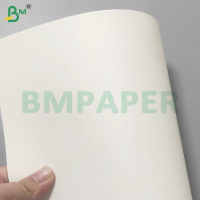 Rulli di carta per bicchieri impermeabilizzati in PE per bevande 190 gm+10 gm