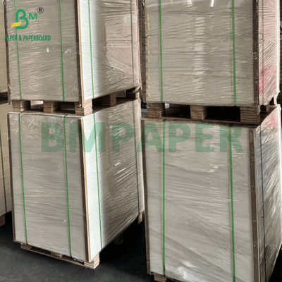 250gm 275gm + 15g PE rivestito da un lato Cartuccio per alimenti per imballaggi alimentari surgelati 740x1060mm
