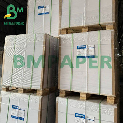210 g + 15 g Coppe di carta rivestite in PE a doppio lato