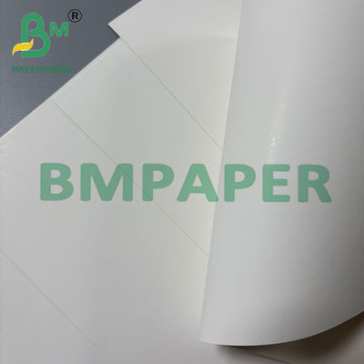 250 gm di cartone naturale bianco Folding Box Board FBB SBS 70 * 100cm