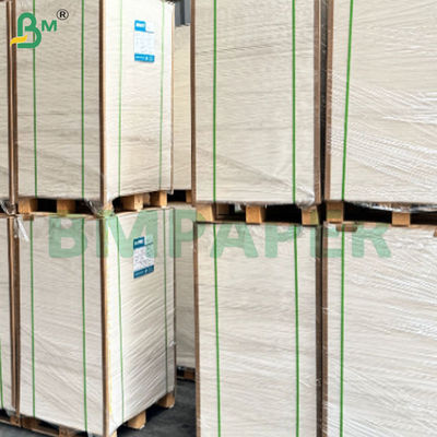 Fogli di carta per contenitori alimentari con rivestimento in PE ad alta rigidità resistenti alle perdite