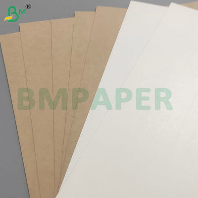 Fogli di carta per contenitori alimentari con rivestimento in PE ad alta rigidità resistenti alle perdite