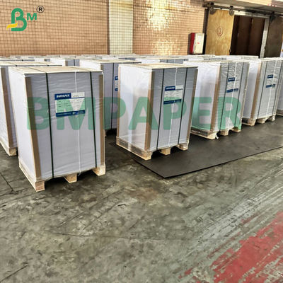 BMPAPER a prova di liquido carta da tazze bianca e marrone stratificata con rivestimento PE