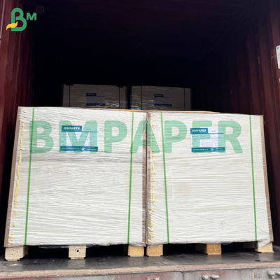 BMPAPER a prova di liquido carta da tazze bianca e marrone stratificata con rivestimento PE
