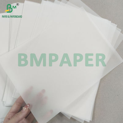 50 gm 73 gm Carta traslucida per scrapbooking Buona durezza A0 A1